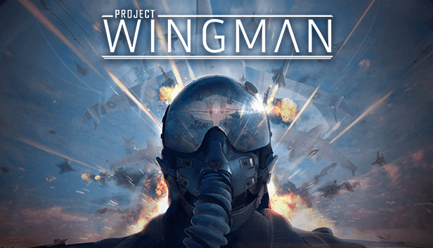 Project Wingman (PC)