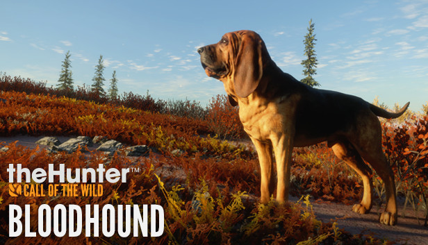 theHunter: Call of the Wild - Bloodhound (PC)