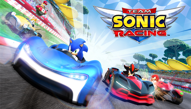 Team Sonic Racing (PC)