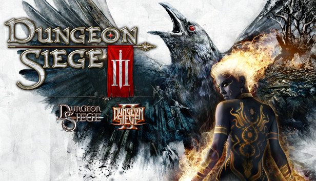 Dungeon Siege III (PC)