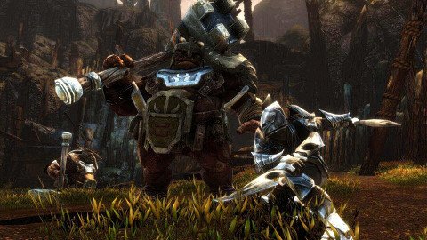 Kingdoms of Amalur: Reckoning™