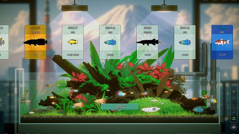 Joyquarium