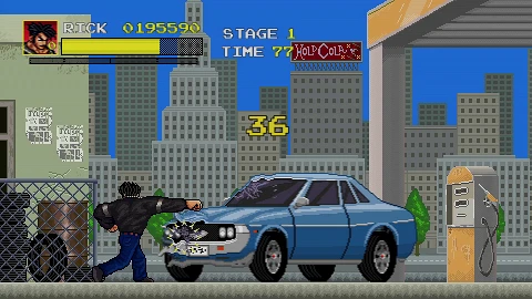 Holua's Arcades