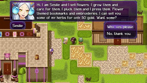 The Black Knight Chronicles - The Widow without Time
