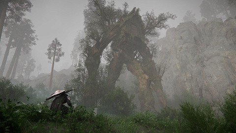 Crimson Desert Deluxe Edition