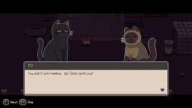 A Street Cat's Tale 2: Outside is Dangerous