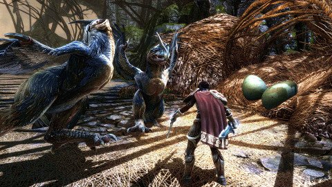 Kingdoms of Amalur: Reckoning™