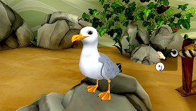 My Vet Practice – Marine Patrol