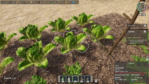 Ancient Farm