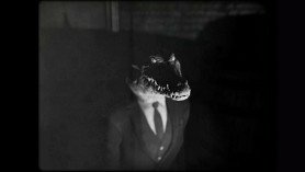 Cat Detective Albert Wilde