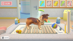 Game Image