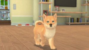 Game Image