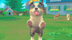 Game Image